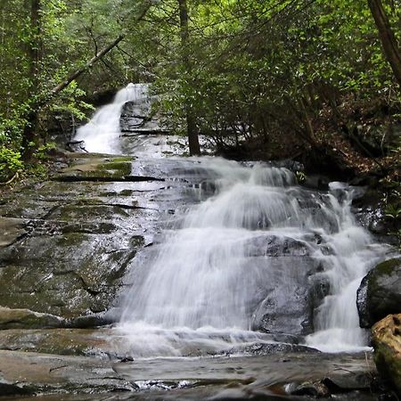 Dogwood Lodge - Dog Friendly W Hot Tub & Fire Pit Morganton Exterior photo